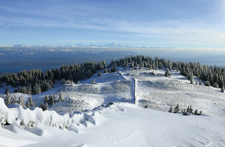 La chane des Alpes depuis la Dle - monts Jura Serge Reverchon